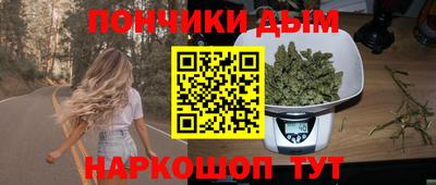 PSILOCYBIN Можга