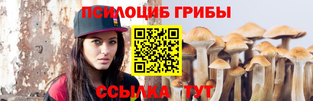Галлюциногенные грибы MAGIC MUSHROOMS  Галлюциногенные грибы прущие грибы  закладки  Вход с VPN  Славянск-на-Кубани 