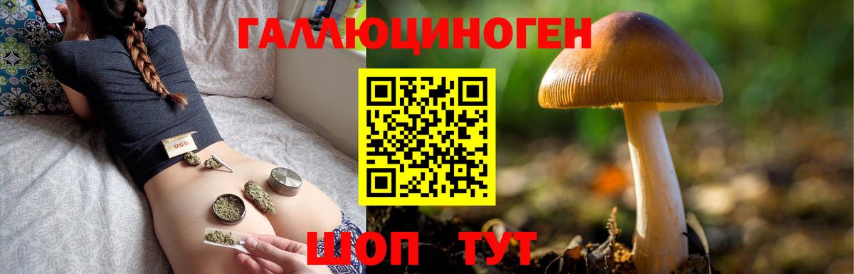 Псилоцибиновые грибы Magic Shrooms Славянск-на-Кубани